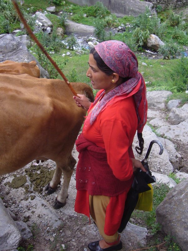 Travel - India - Himachal Pradesh - Manali - Vashisht and Around